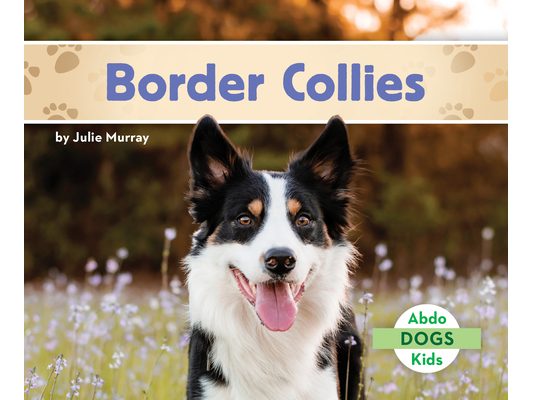 Border Collies