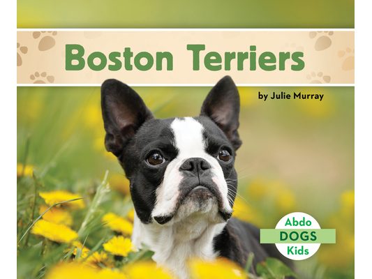 Boston Terriers