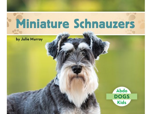 Miniature Schnauzers