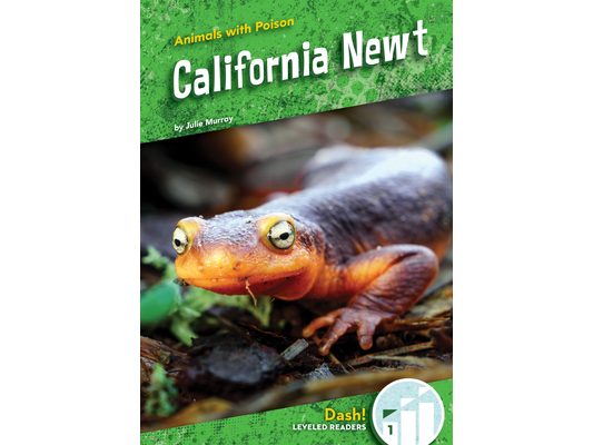 California Newt