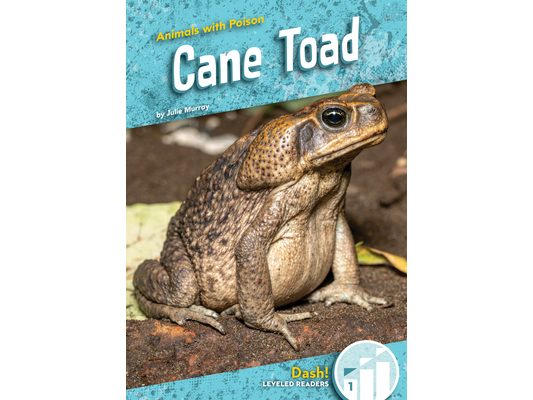 Cane Toad