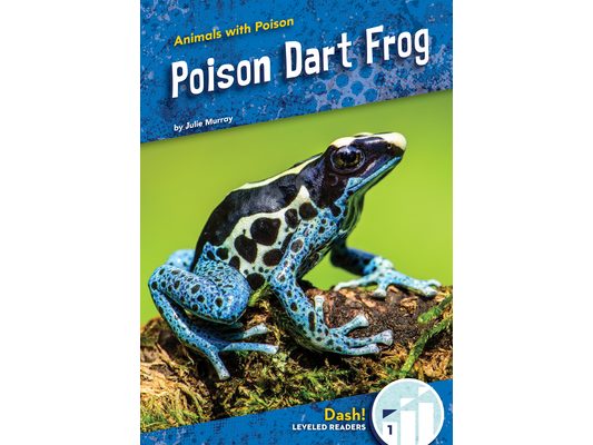 Poison Dart Frog
