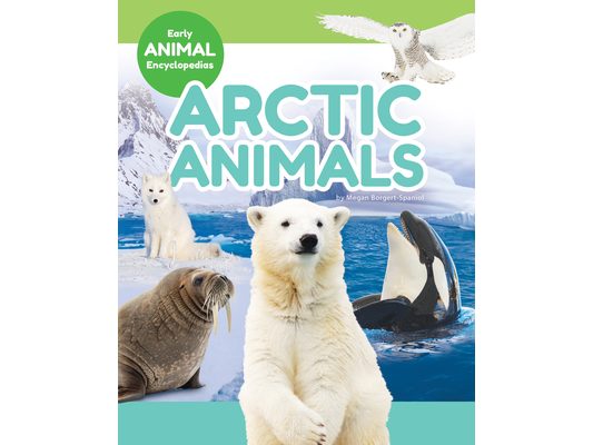 Arctic Animals
