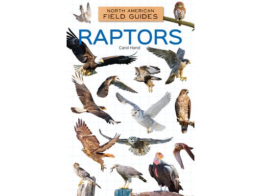 Raptors