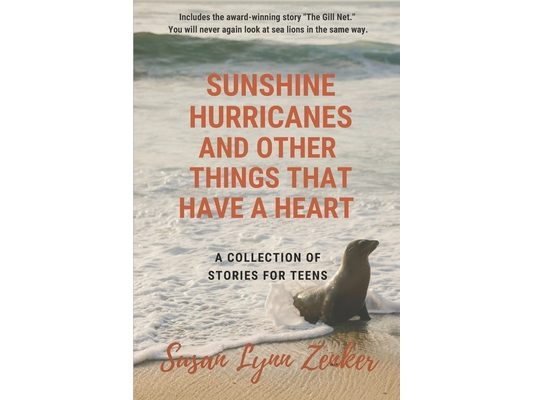 Sunshine, Hurricanes, and Other Things that Have a Heart: A Collection of Stories for Teens