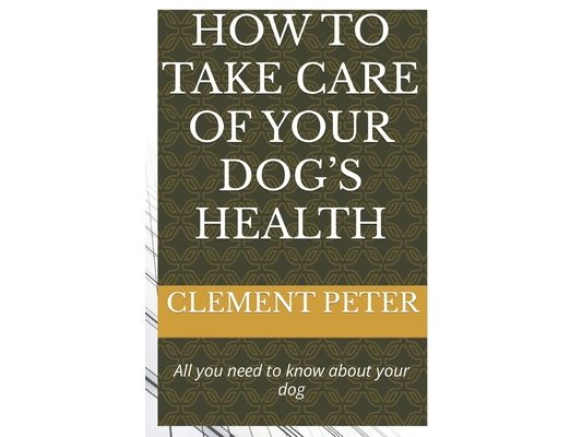 How to Take Care of Your Dog's Health