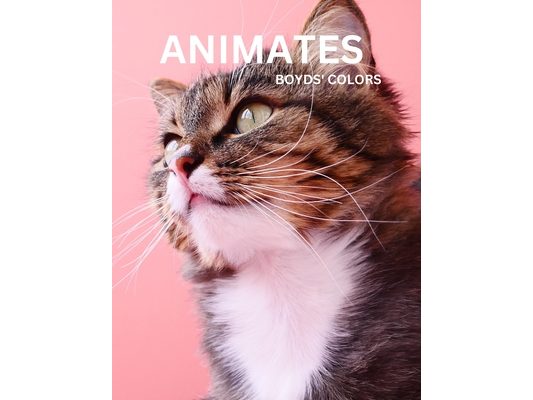 Animates Boyds' Colours: A coloring book featuring different plants and animals