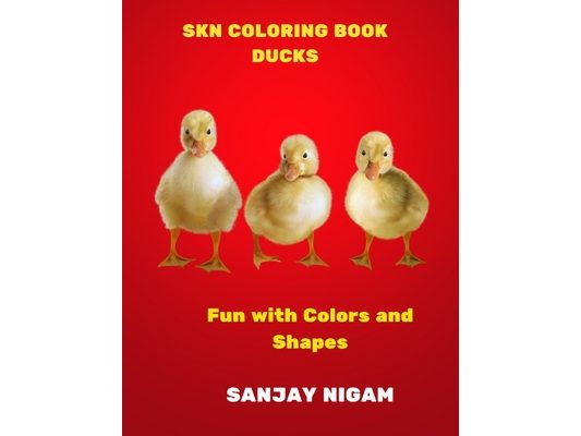 Skn Coloring Book Ducks: Fun with Colors and Shapes