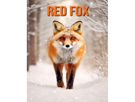 Red Fox: Fun Facts Book for Kids with Amazing Photos