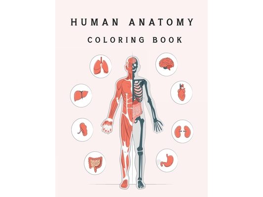 Human Anatomy Coloring book: easy way to learn human body parts anatomy coloring book