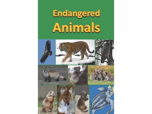 Endangered Animals