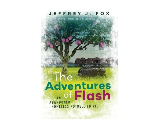 The Adventures of FLASH: An Abandoned Homeless Potbellied Pig (Inspired By a True Story)