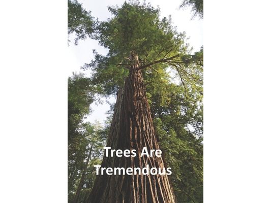 Trees Are Tremendous