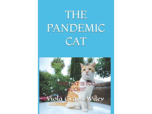 THE PANDEMIC CAT ( Academic Vocabulary Grades 2-4): This Cat Is Too Much!!!