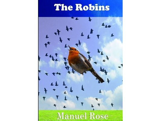 The Robins: A Kids Book