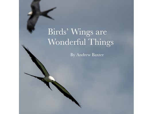 Birds' Wings are Wonderful Things