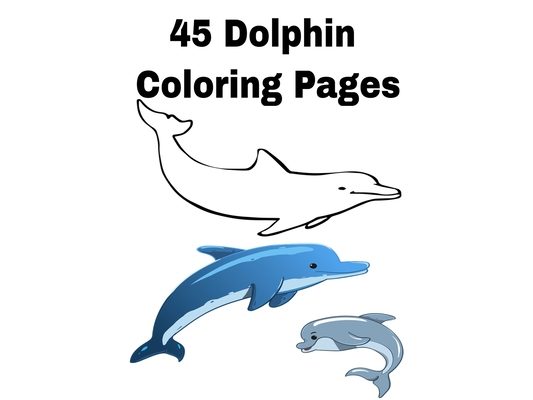 45 Dolphin Coloring Pages: Dolphin Coloring 45 Pages