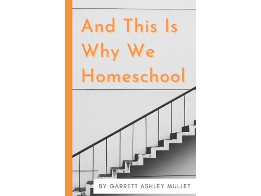And This Is Why We Homeschool