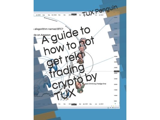 A guide to how to not get rekt trading crypto by TUX