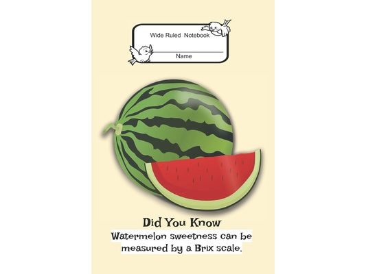 Composition Book: Wide Rule- Watermelon