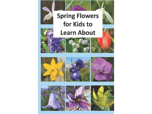 Spring Flowers for Kids to Learn About