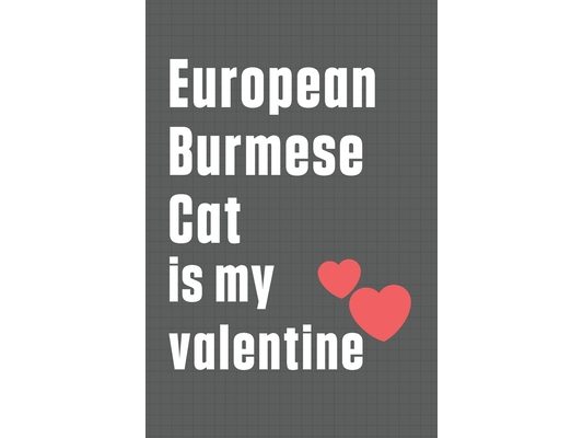 European Burmese Cat is my valentine: For European Burmese Cat Fans