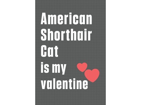 American Shorthair Cat is my valentine: For American Shorthair Cat Fans