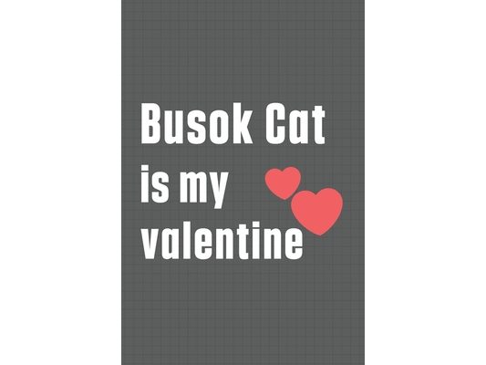 Busok Cat is my valentine: For Busok Cat Fans