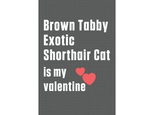 Brown Tabby Exotic Shorthair Cat is my valentine: For Brown Tabby Exotic Shorthair Cat Fans