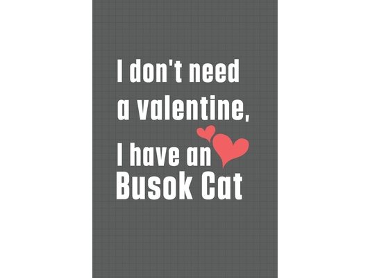 I don't need a valentine, I have a Busok Cat: For Busok Cat Fans