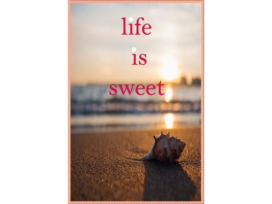 life is sweet: life is sweet
