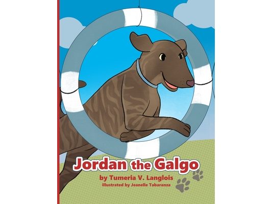 Jordan the Galgo