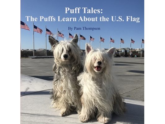 Puff Tales: The Puffs Learn about the U.S. Flag