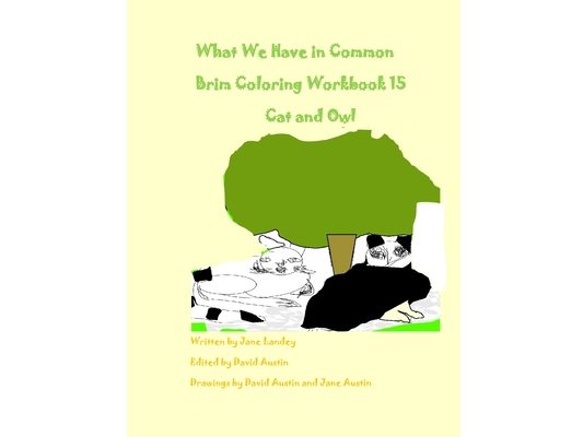 What We Have in Common Brim Coloring Workbook: Cat and Owl