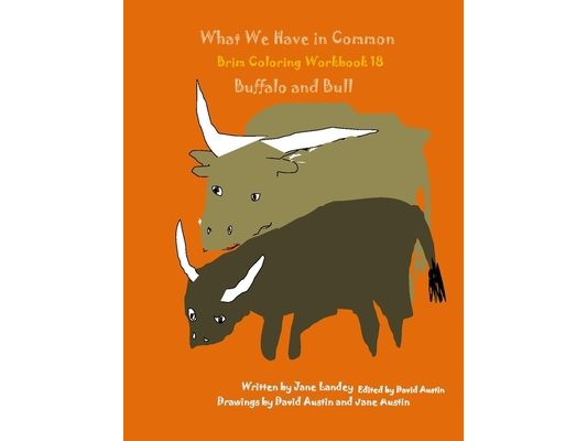 What We Have in Common Brim Coloring Workbook: Buffalo and Bull