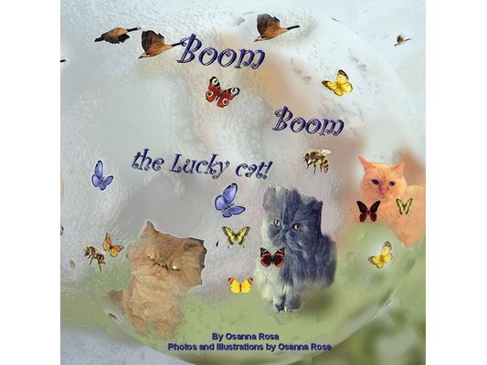 Boom Boom the Lucky cat!