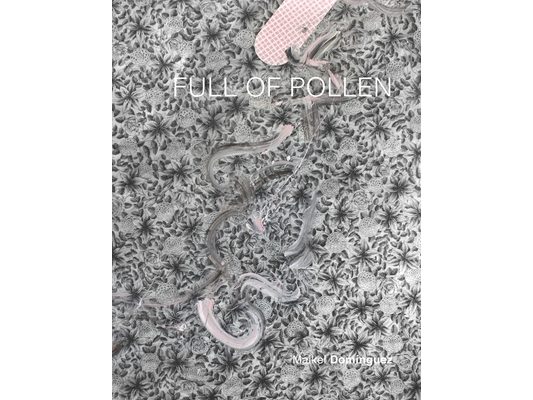Full of Pollen: Maikel Domínguez