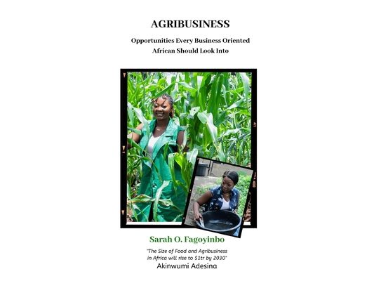 Agribusiness: Opportunities Every Business Oriented African Should Look Into