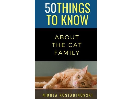 50 Things to Know about the Cat Family