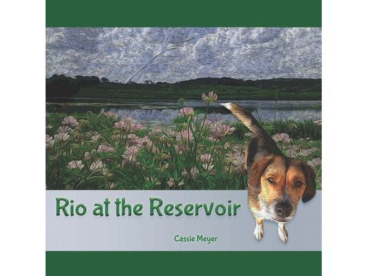Rio at the Reservoir