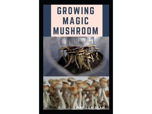 Growing Magic Mushroom: Step by steps guide on how to decides, select and grow mushroom on your own