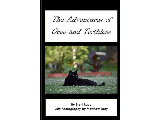 The Adventures of Toothless