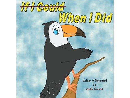 If I Could When I Did