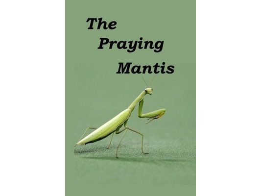 The Praying Mantis: All about being a Praying Mantis.