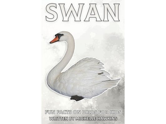 Swan: Fun Facts on Birds for Kids #29