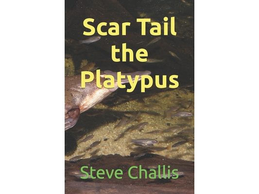 Scar Tail the Platypus