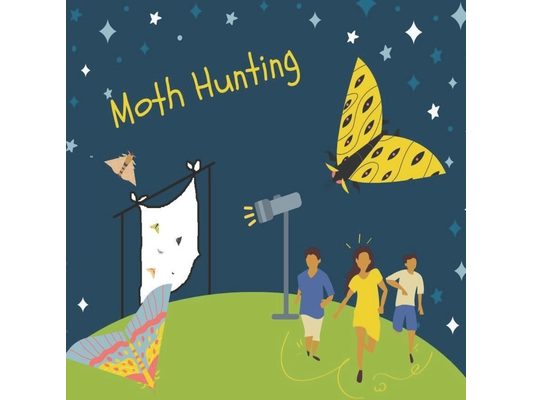 Moth Hunting