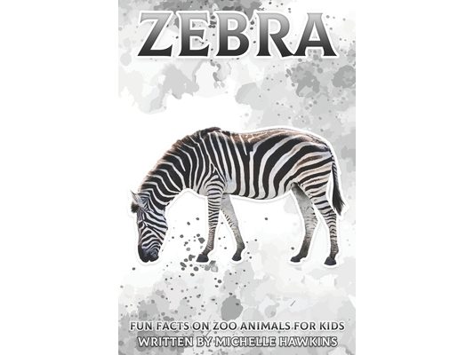 Zebra: Fun Facts on Zoo Animals for Kids #4