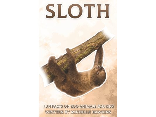 Sloth: Fun Facts on Zoo Animals for Kids #18