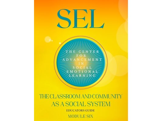 Sel: The Classroom And Community As A Social System: Module Six